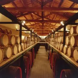 Cantina vini