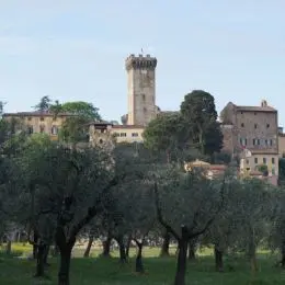 Rocca Vicopisano, Pisa