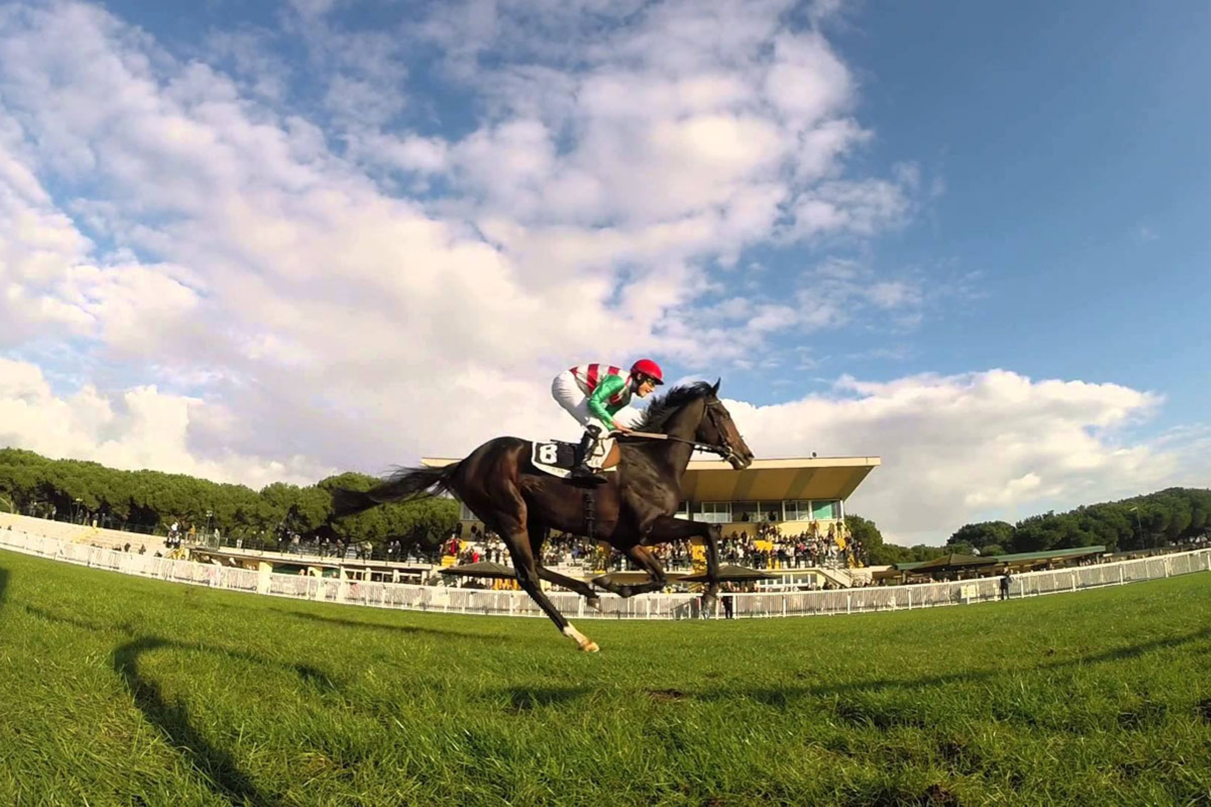 ippodromo-san-rossore